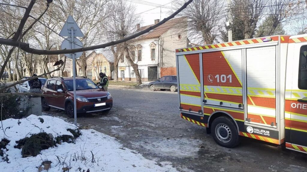 Поліцейські