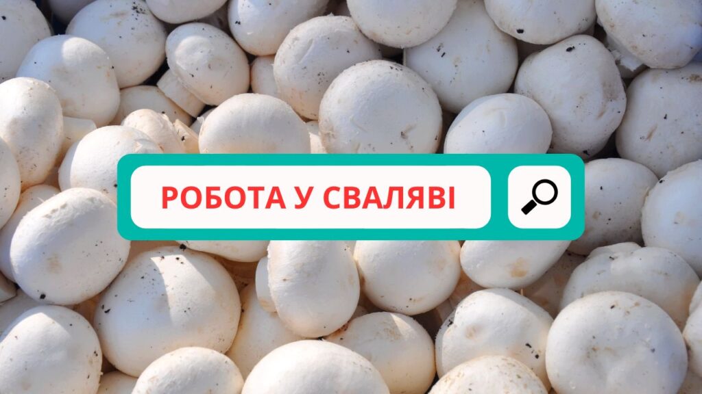 РОБОТА У СВАЛЯВІ