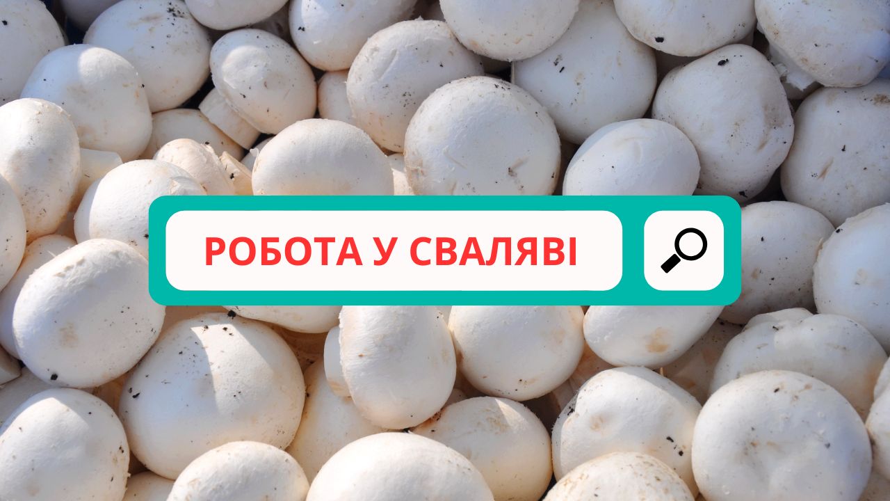 РОБОТА У СВАЛЯВІ