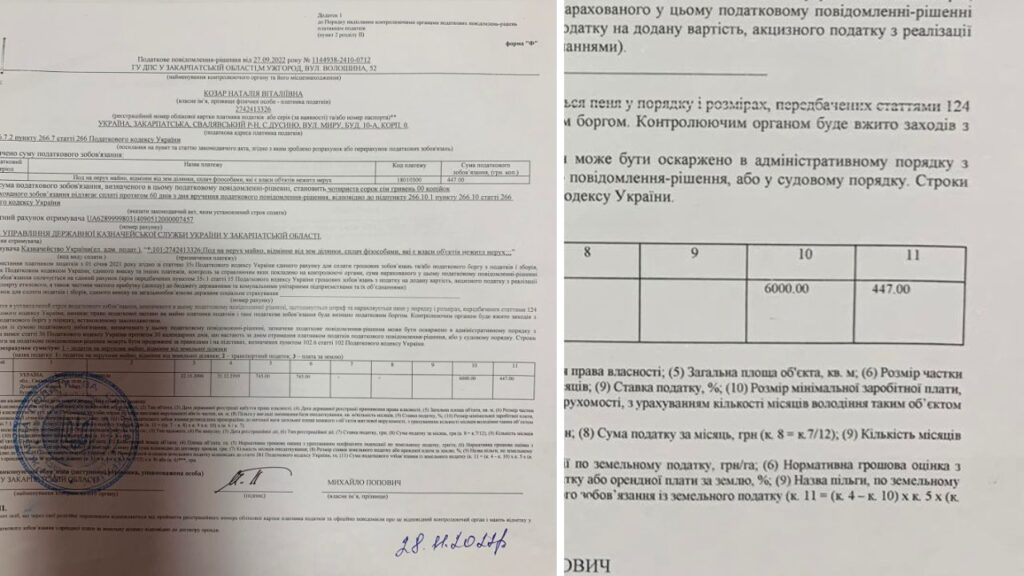 Платіжка