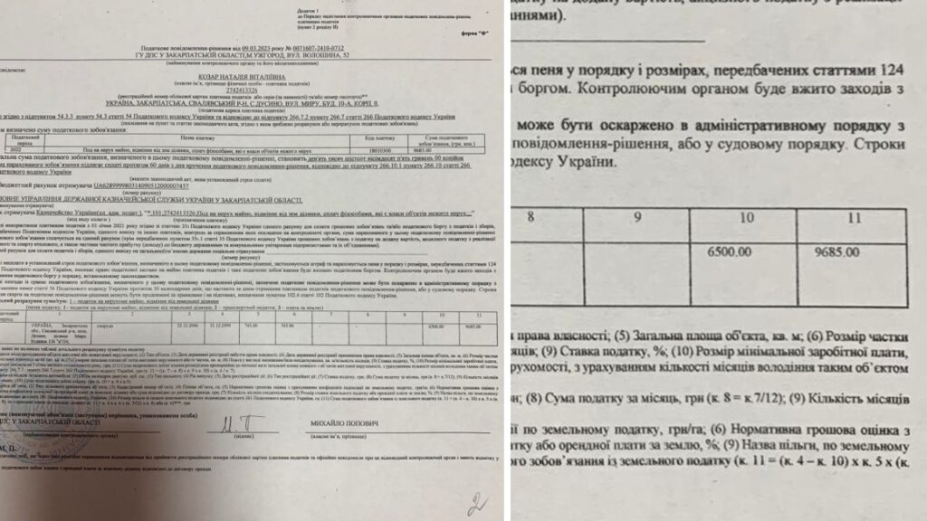 Платіжка фото
