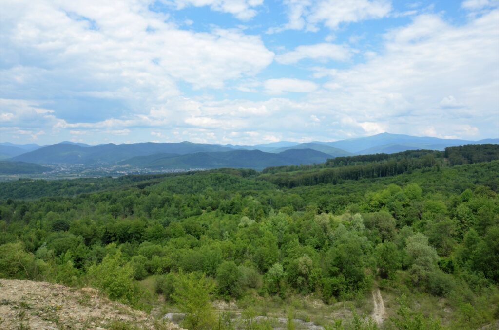 Свалявські джерела