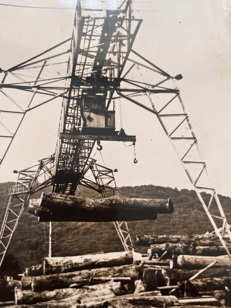 Кран на лісохімкомбінаті, 1968 рік