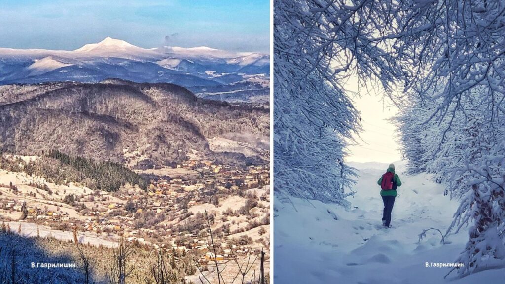 Сніг випав у Карпатах