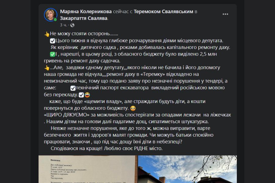 Скриншот публікації Маряни Колерникової