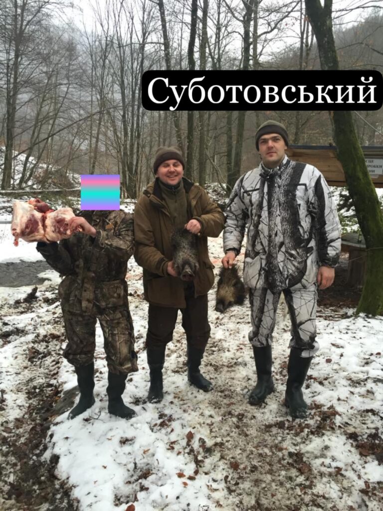 Суботовський і кабани