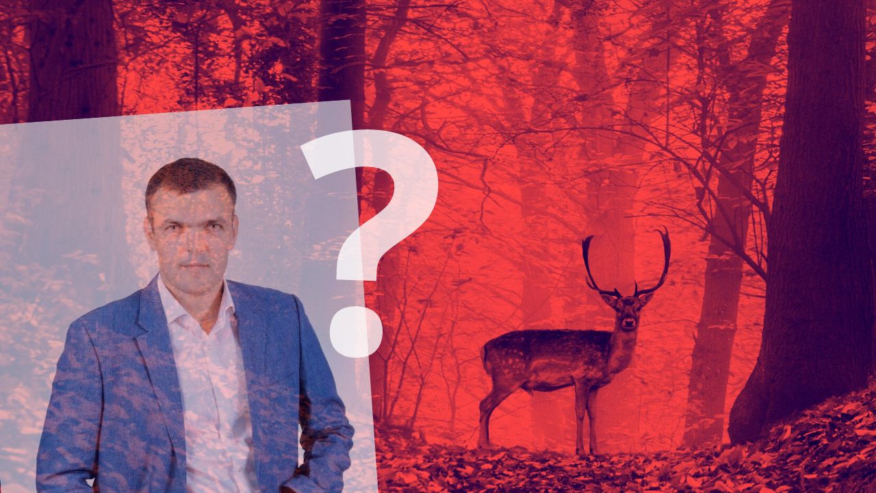 Суботовський вполював оленя