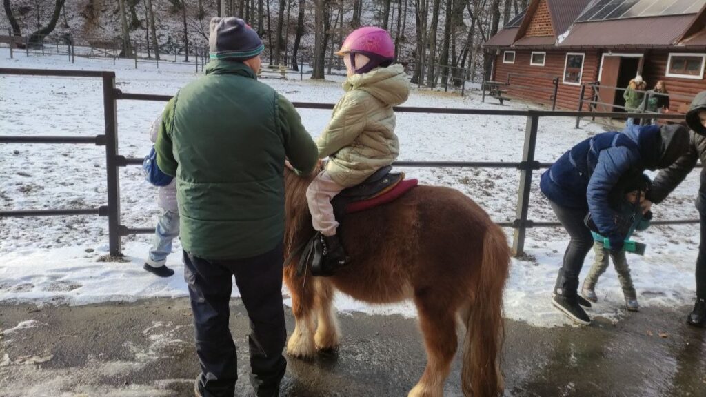 Поні у Воєводино