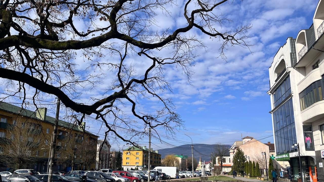 Погода Свалява