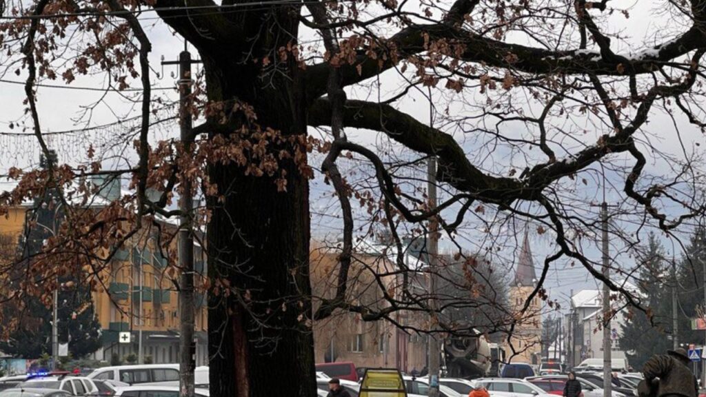 Бетоновоз у центрі Свалява