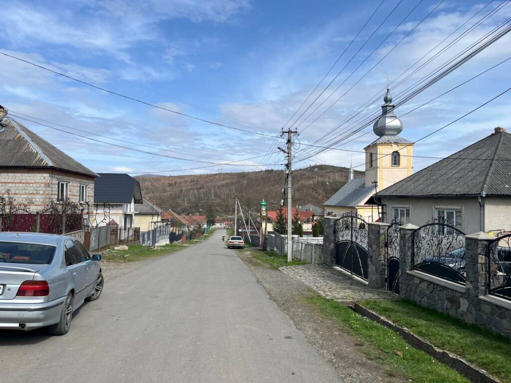 Черник