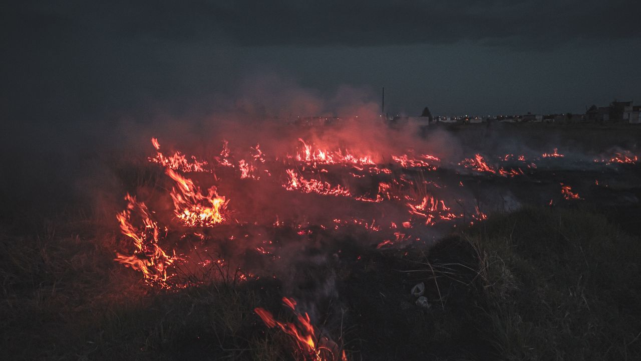 Горить суха трава