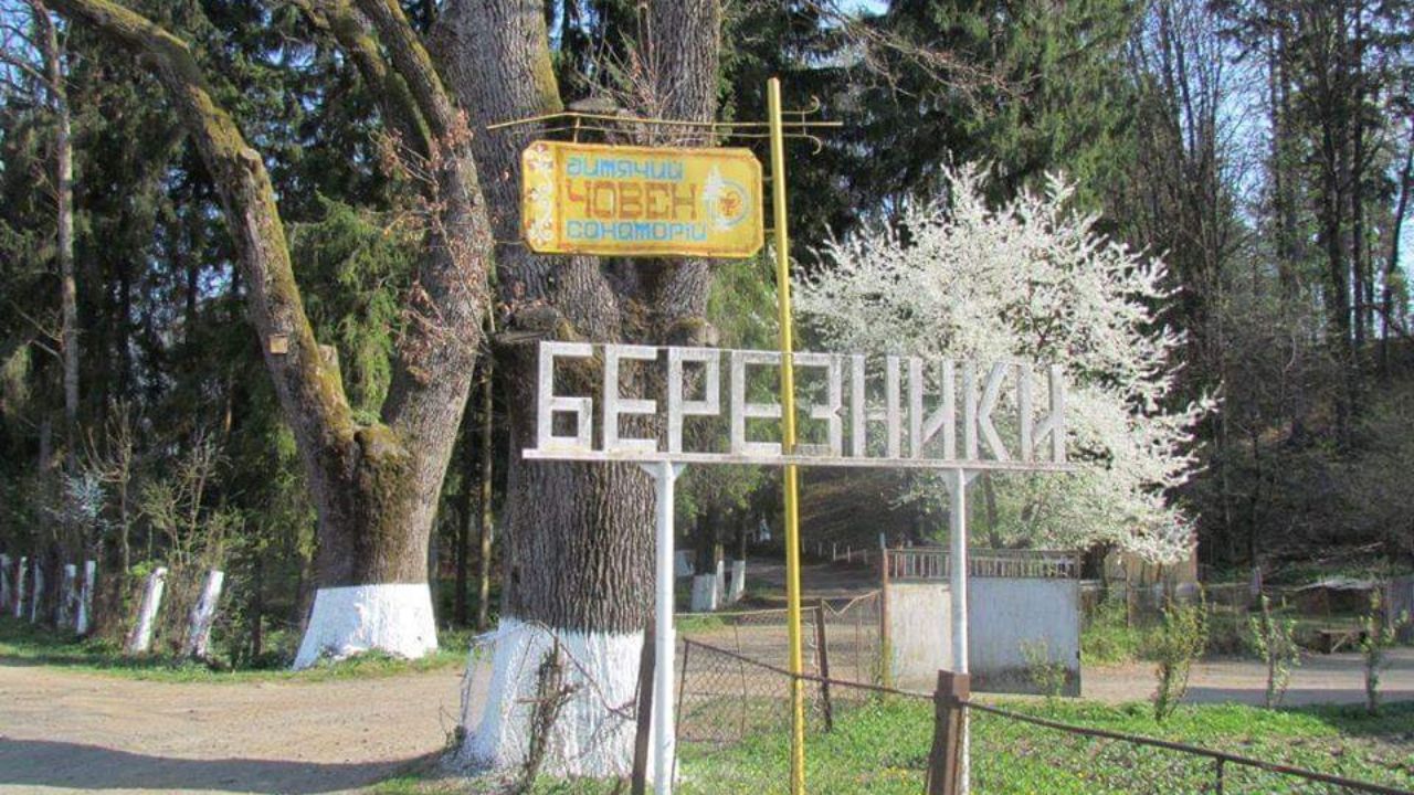 Березники опитування