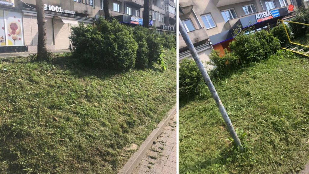 Покошений газон у Сваляві