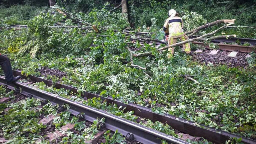 Дерева впали на колію в селі Вовчий