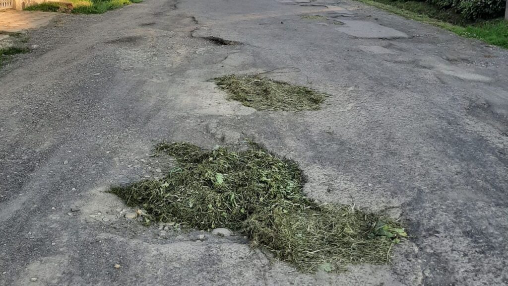 Ями залатали травою на Бистрому Сваляві