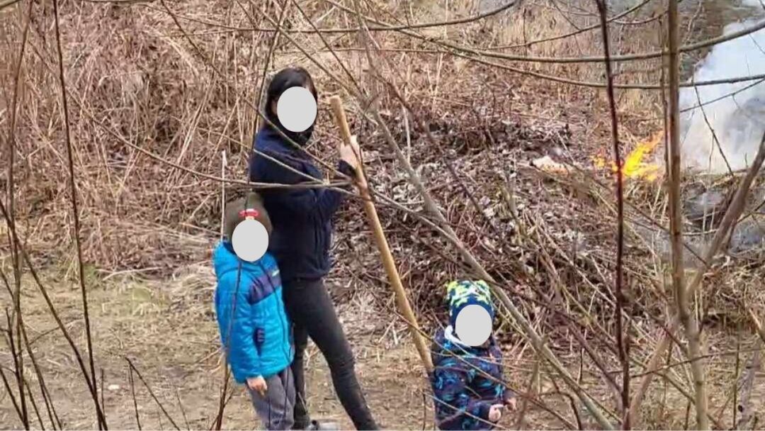 Палії трави у Стройному