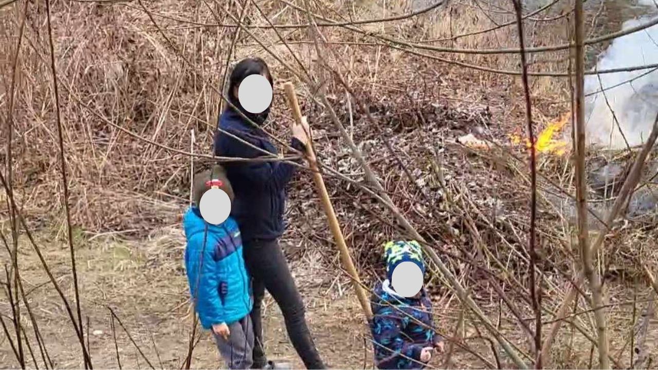 Палії трави у Стройному