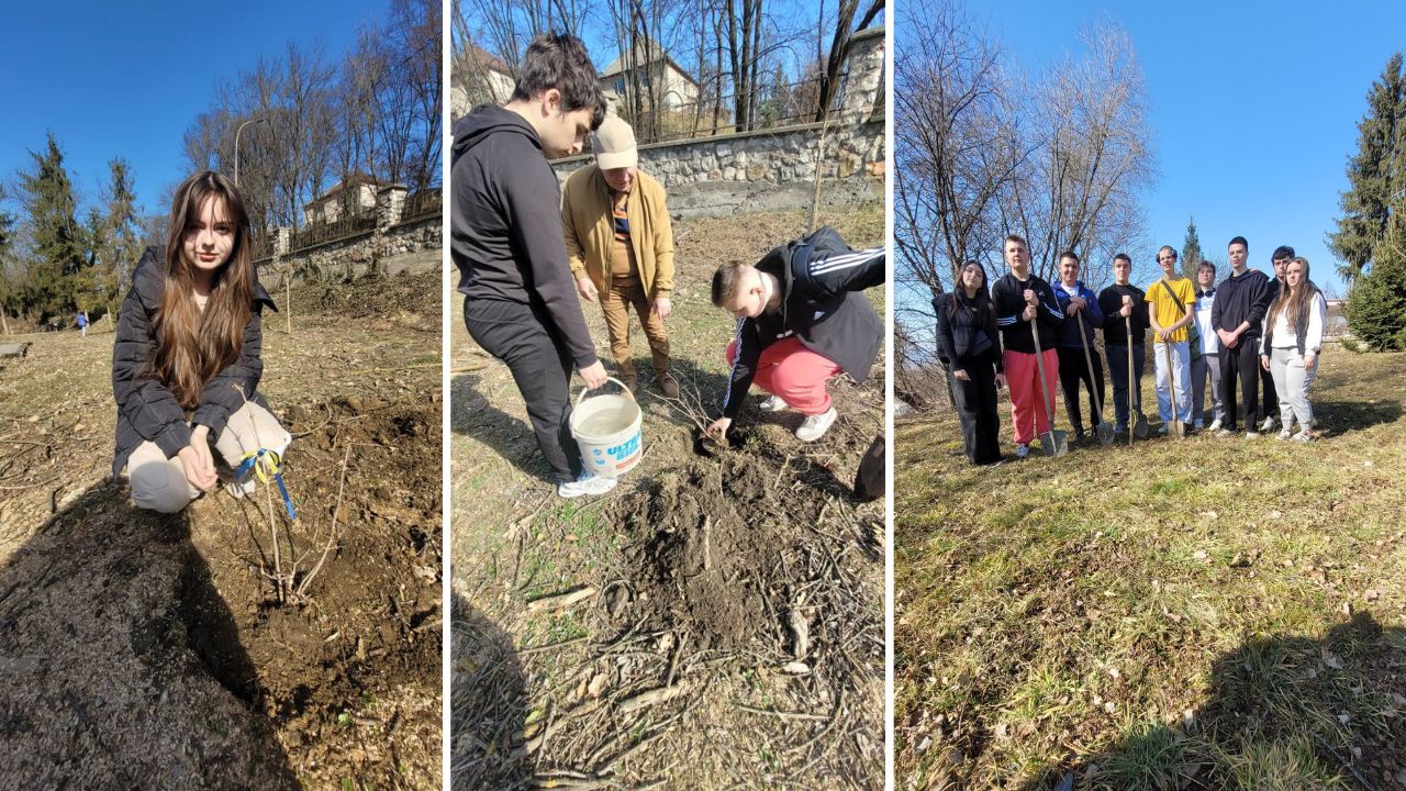 Акція в Меморіальному парку Сваляви
