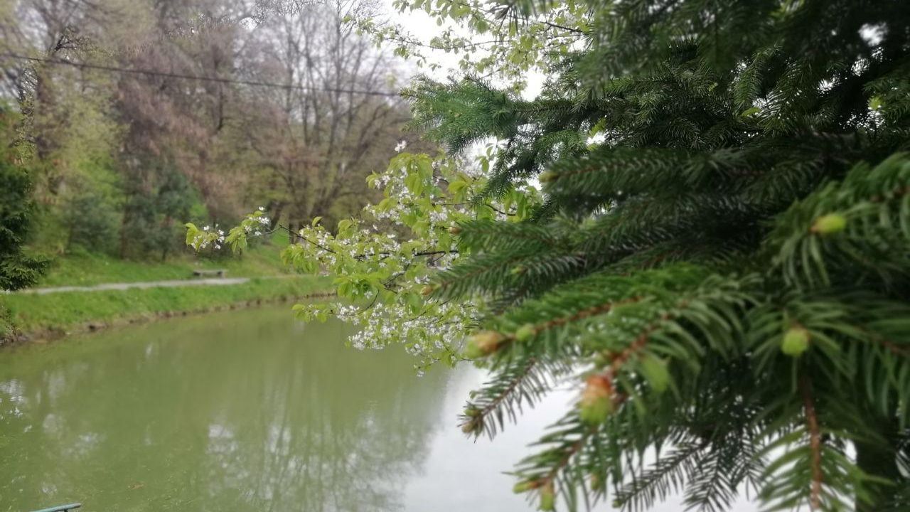 Озеро у Полянській громаді
