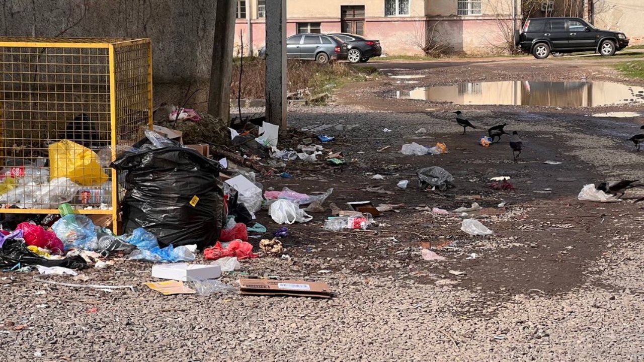 Сміття у Сваляві