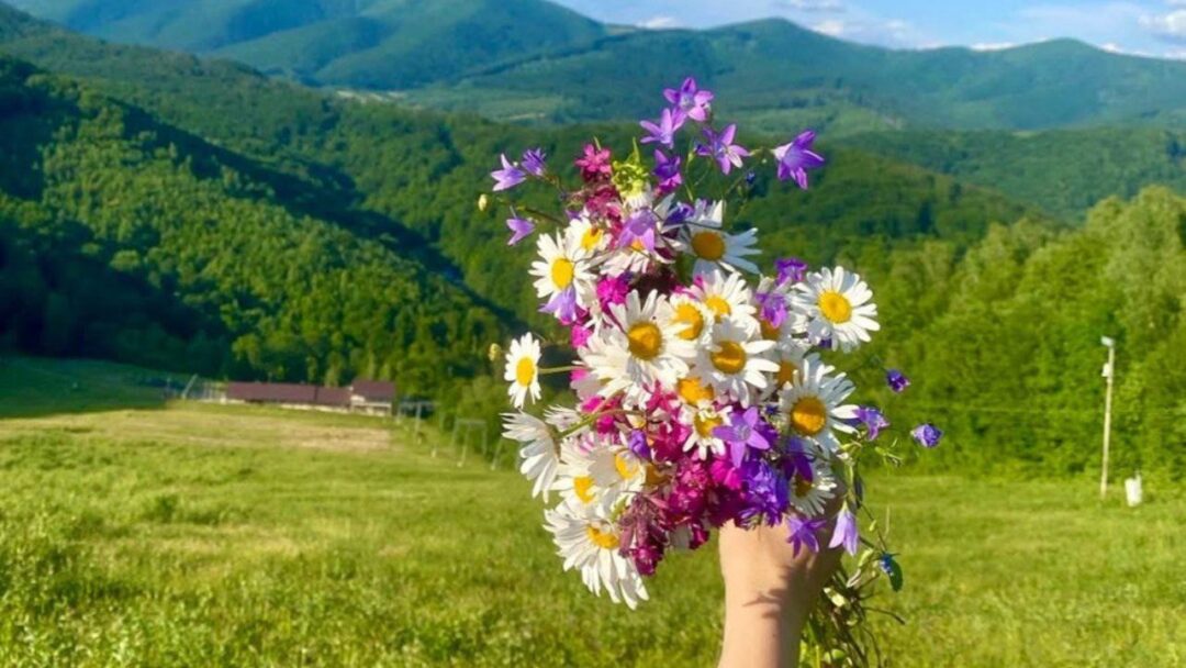 Відпочинок на Закарпатті