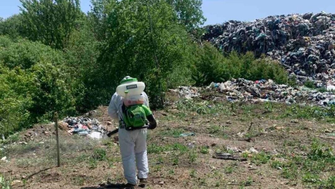 Комунальник обробляє тарганів у Сваляві