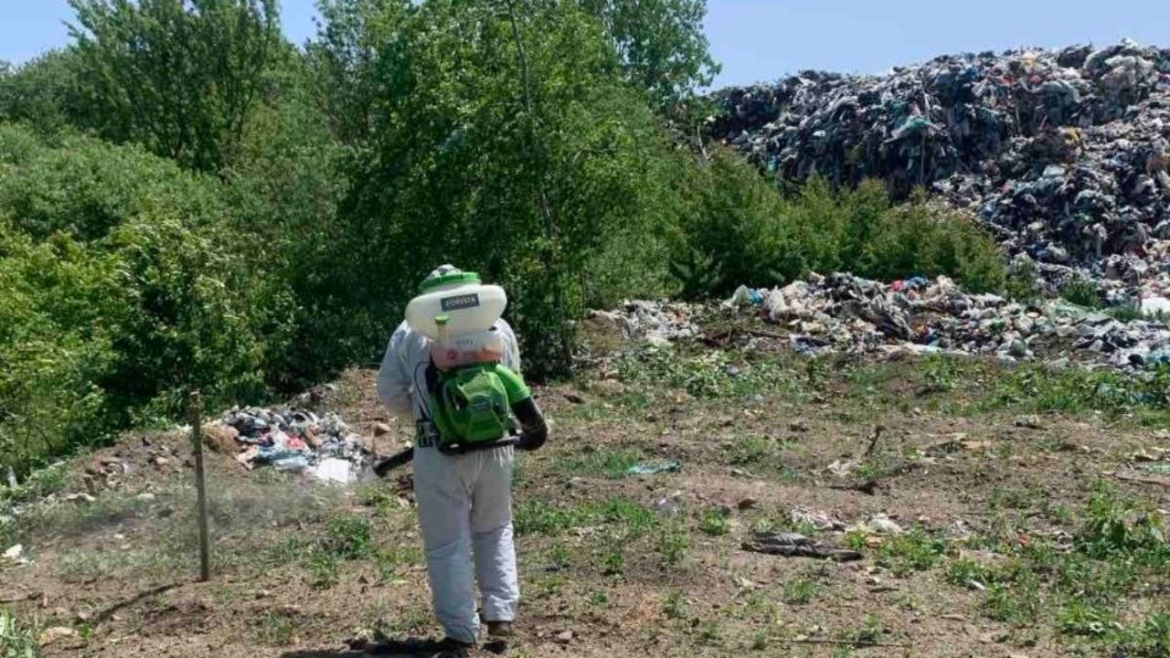 Комунальник обробляє тарганів у Сваляві