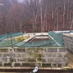 Незаконне рибне господарство у Березниках
