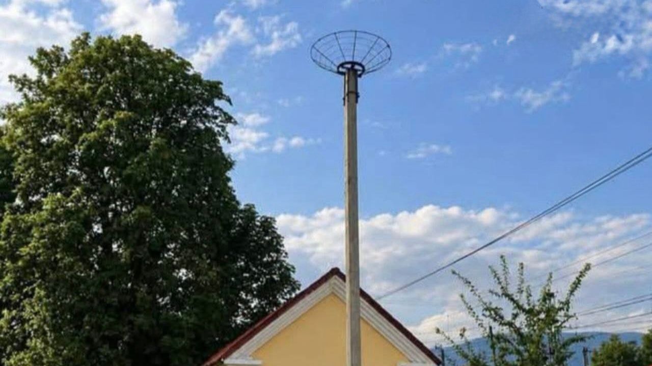 гніздо лелек